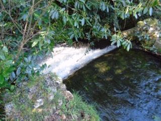 Waterfall on Boconnoc Estate
